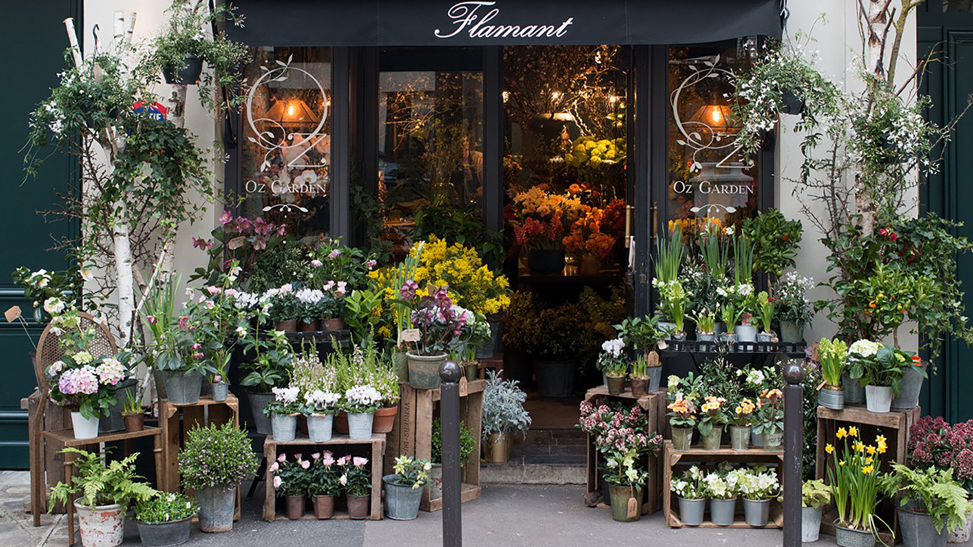 Рабочий цветочный магазин. Vertige цветочный магазин Франция. Витрина магазина цветов. Красивые витрины цветочных магазинов. Цветочный салон.