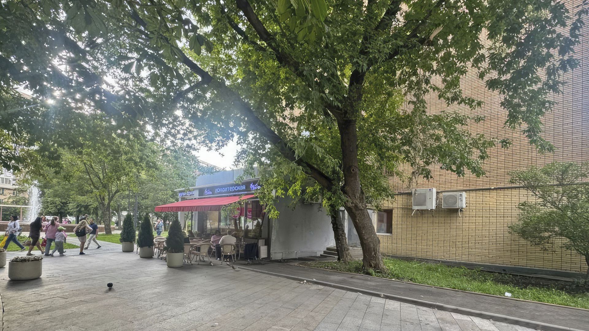 lot-15303