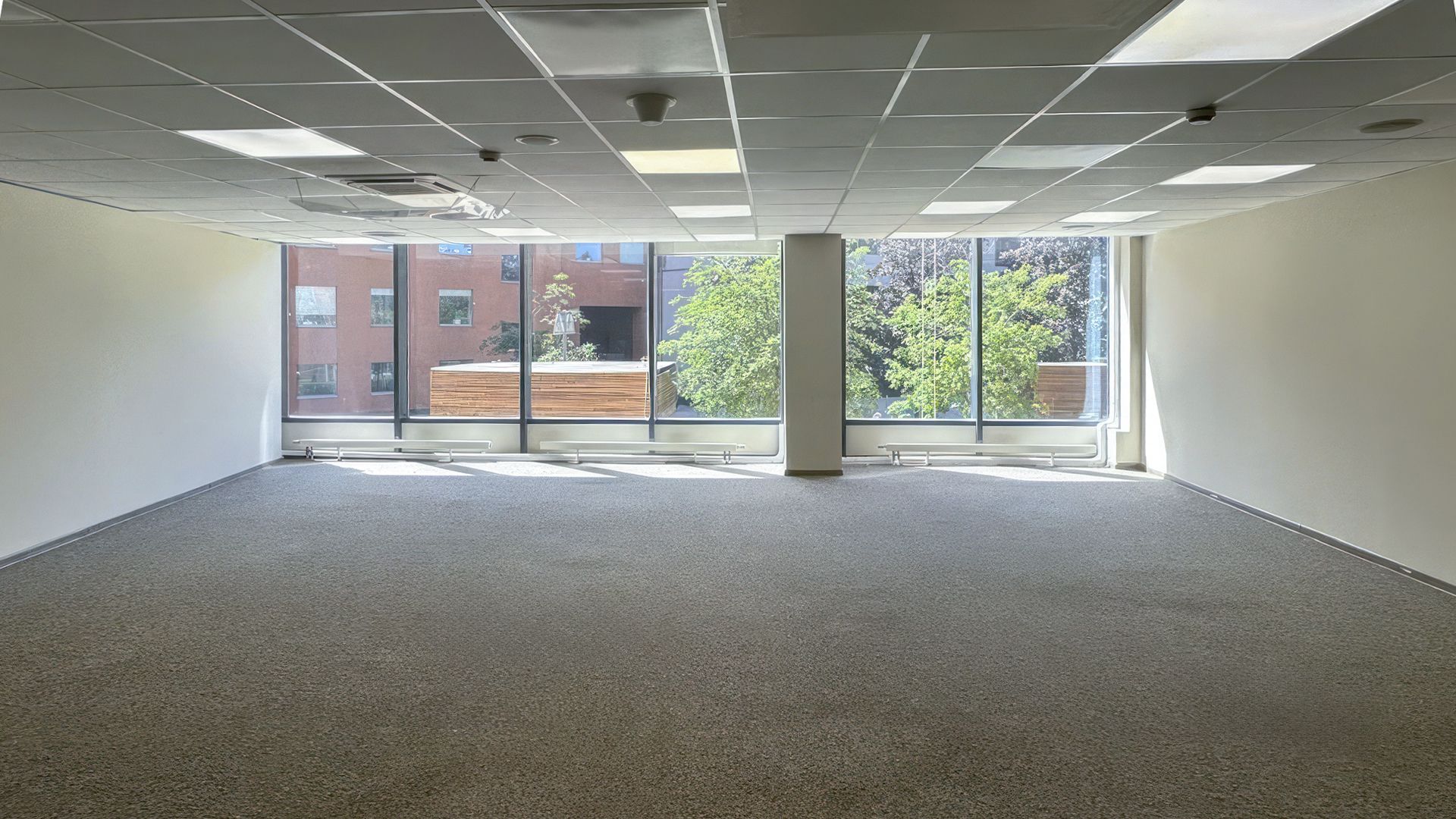 lot-19081